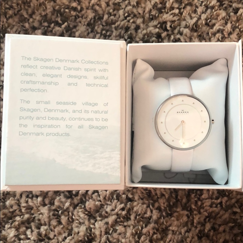 Skagen Watch